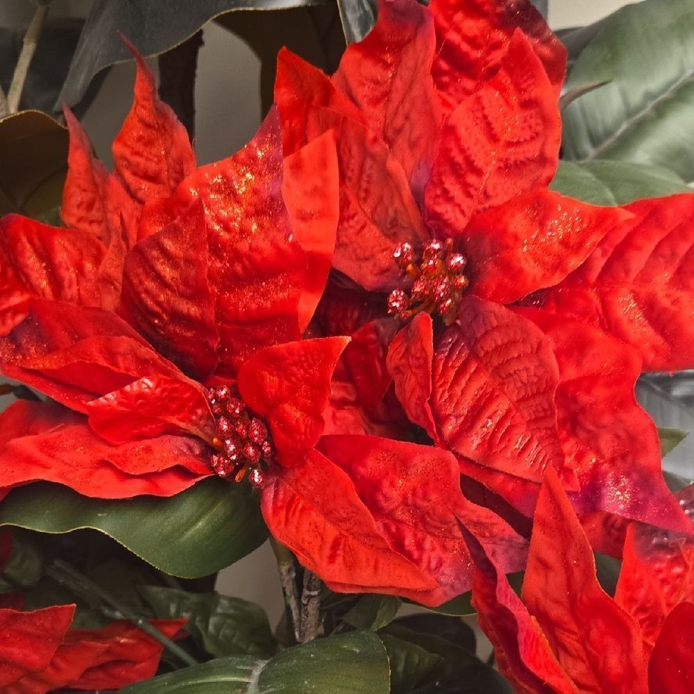 Vibrant Red Poinsettia Holiday Decor 19 Flowers